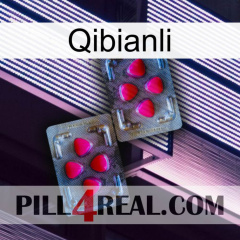 Qibianli 15